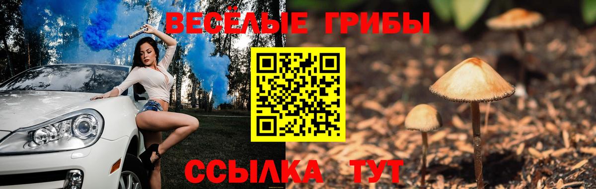 Карачаевск  Псилоцибиновые грибы Magic Shrooms  Вход с VPN 