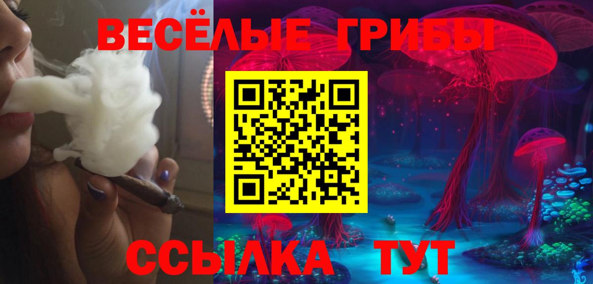 Галлюциногенные грибы Cubensis Карачаевск