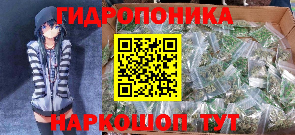 Канабис гибрид Карачаевск